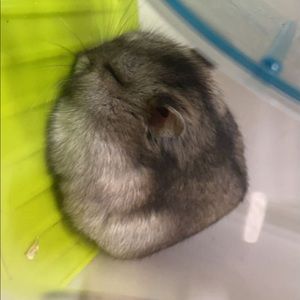 Meet your Posher, Kristina